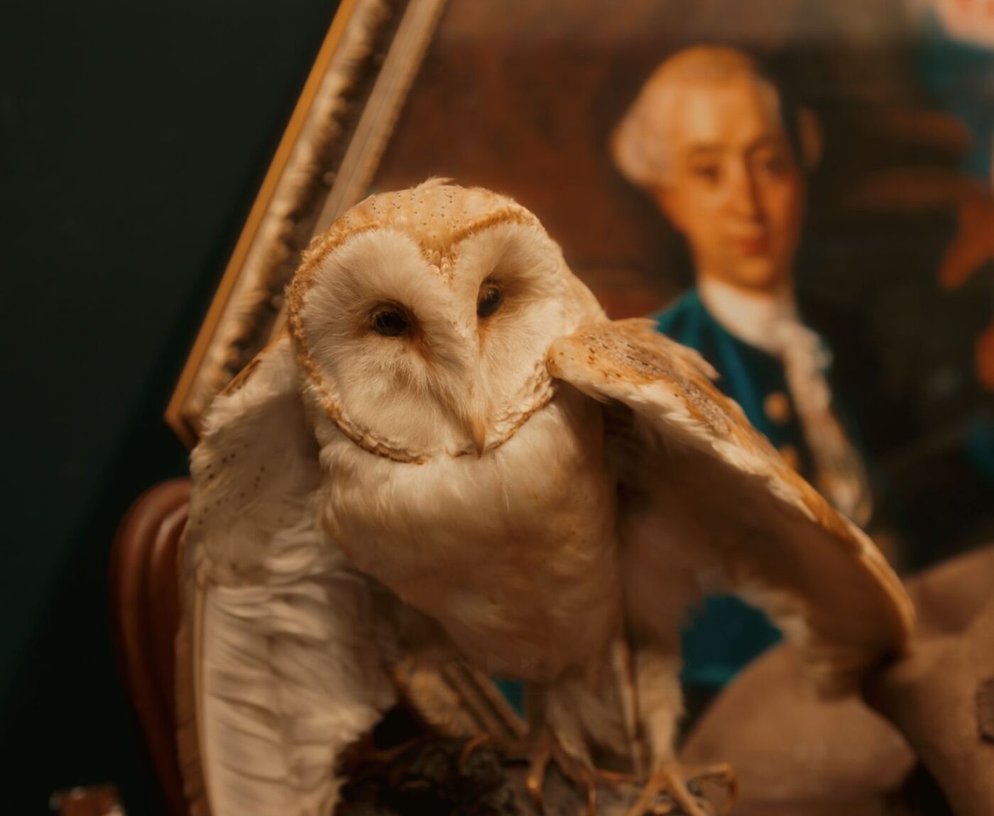 Menacing stuffed owl in front of painting of man. Enigma Quests Escape Room World of Witchcraft and Wizardry