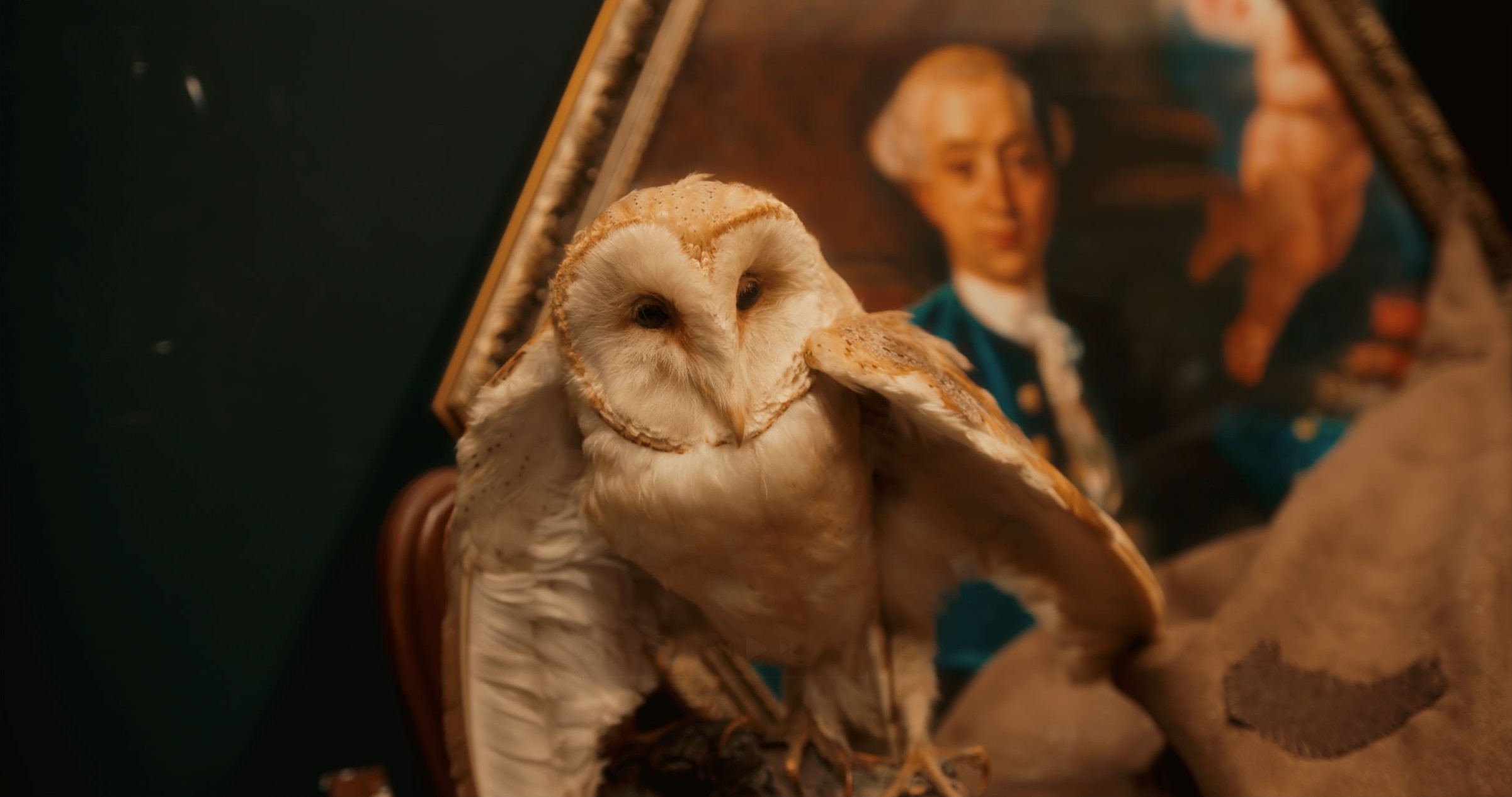 Menacing stuffed owl in front of painting of man. Enigma Quests Escape Room World of Witchcraft and Wizardry