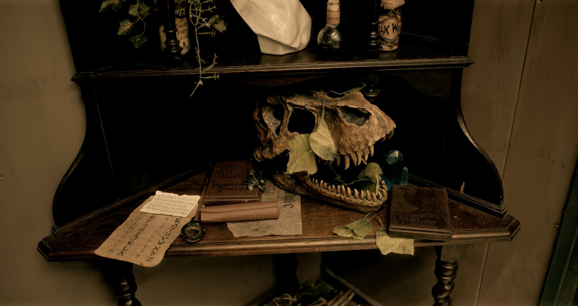 Dinosaur skull on desk. Enigma Quests Escape Room World of Witchcraft and Wizardry