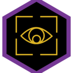 Surveillance Icon